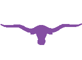 Fort Worth Executive Transportation