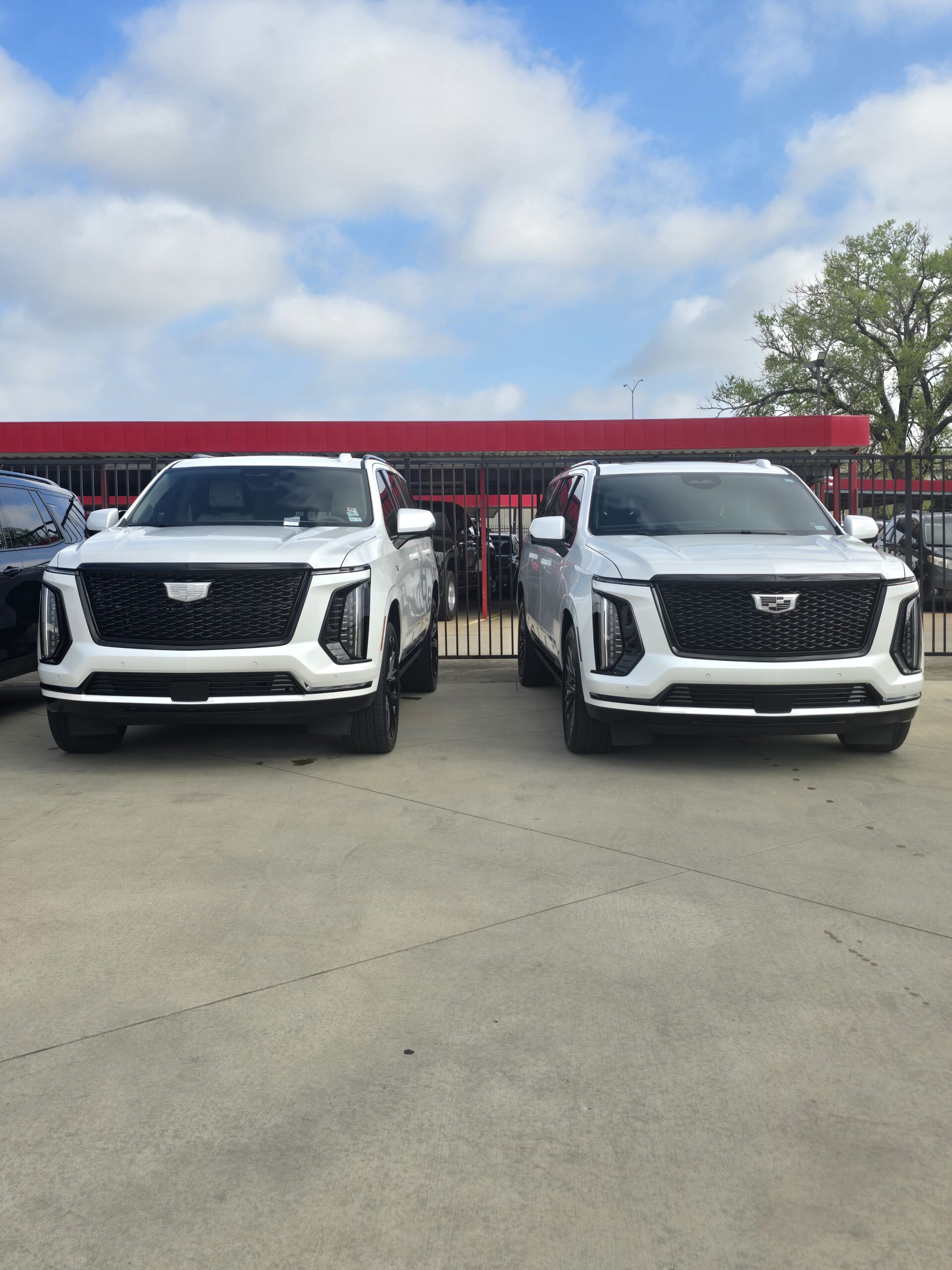 Cadillac Escalade Fleet